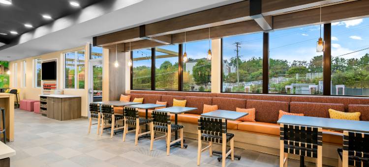 列克星敦希尔顿特鲁酒店(Tru by Hilton Lexington)图片