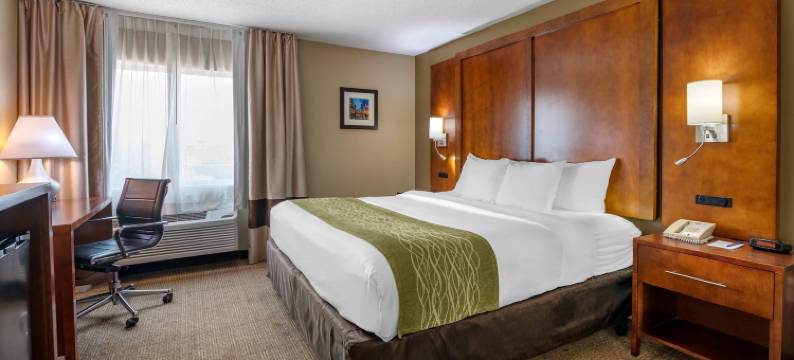 罗密欧维尔柏林布鲁克舒适酒店(Comfort Inn Romeoville - Bolingbrook)图片