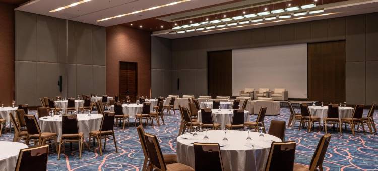 科纳克里丽笙蓝标酒店(Radisson Blu Hotel, Conakry)图片