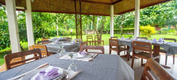 沙瓦大象生态小屋(The Satwa Elephant Ecolodge)图片