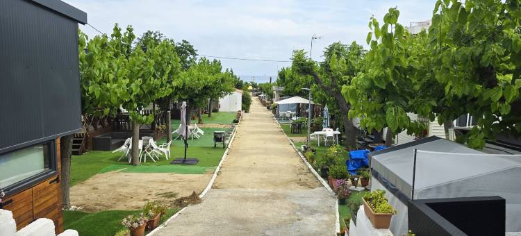 滨海卡内特风景海滩附近小屋(Bungalow in Canet de Mar near Scenic Beach)图片