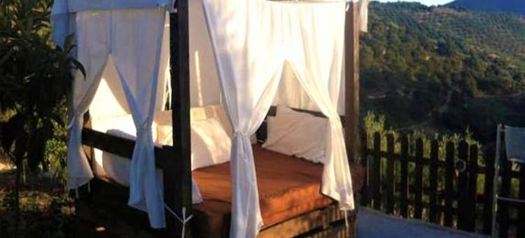 Country House in Andalusia with Pool图片