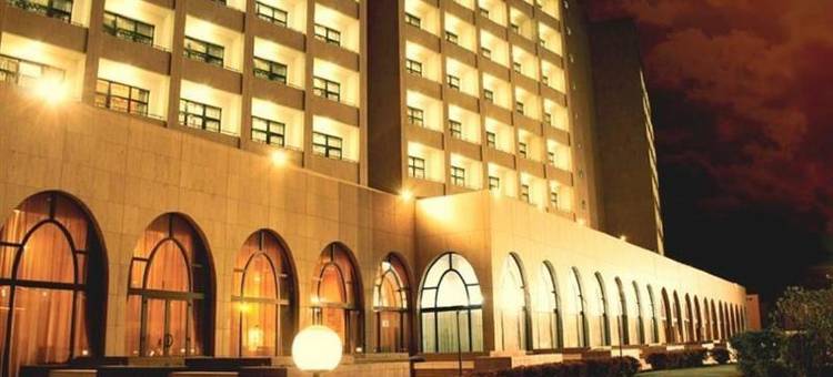 恩贾梅纳莱杰广场酒店(Ledger Plaza Hotel N'Djamena)图片