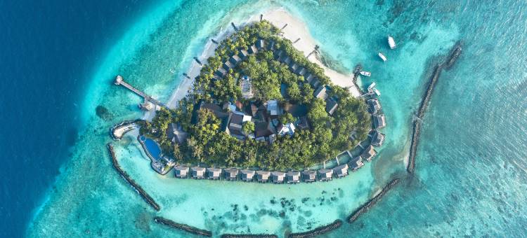 马尔代夫泰姬珊瑚礁水疗度假村(Taj Coral Reef Resort & Spa Maldives)图片