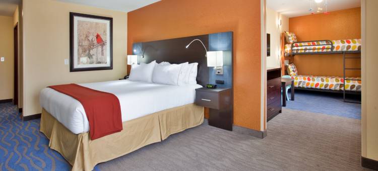 智选假日套房酒店圣路易斯NE - 兰伯特现场(Holiday Inn Express & Suites ST Louis Airport)图片