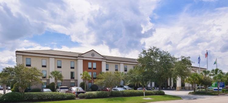 智选假日套房酒店新奥尔良机场(Holiday Inn Express & Suites New Orleans Airport South)图片