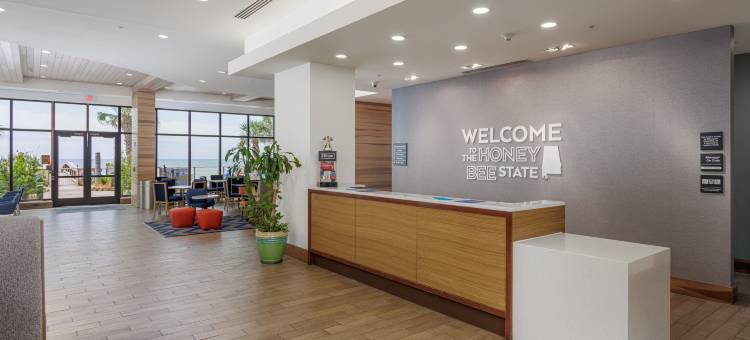 希尔顿欢朋套房酒店-橘子海滩海湾观景台(Hampton Inn & Suites Orange Beach/Gulf Front)图片