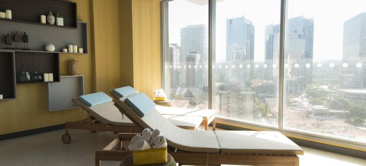 圣保罗贝林尼诺富特酒店(Novotel São Paulo Berrini)图片