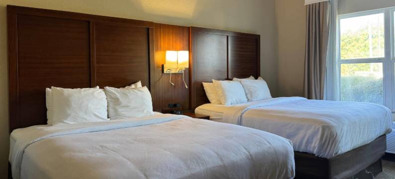 维克斯堡舒适全套房酒店(Comfort Suites)图片