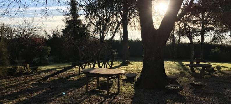 迪特文艺术酒店(L'Art Dit Vin)图片