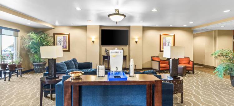 舒适套房酒店(Comfort Suites)图片