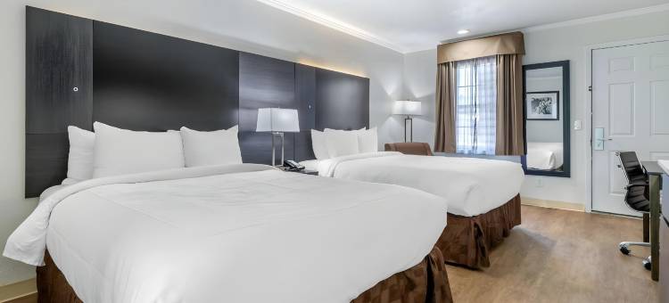 大学郊区开放式客房(Suburban Studios at the University)图片