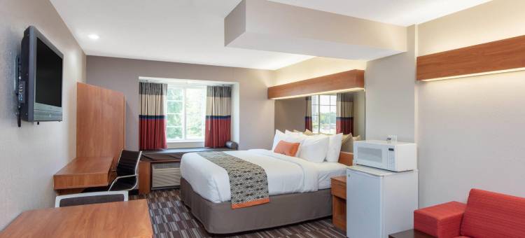 斯普林菲尔德温德姆麦客达套房酒店(Microtel Inn & Suites by Wyndham Springfield)图片