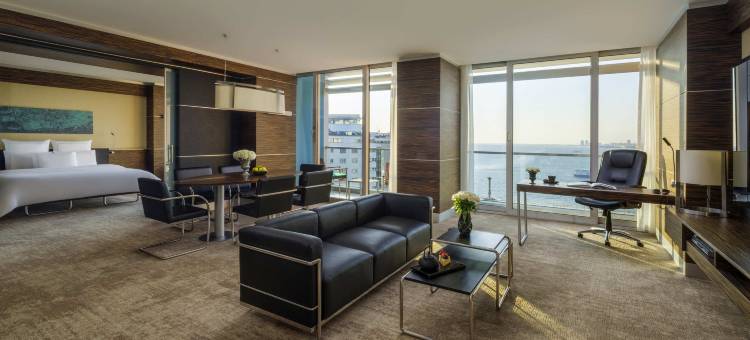 伊兹密尔瑞士酒店(Swissotel Buyuk Efes Izmir)图片
