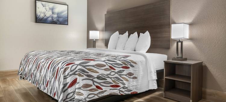 昆斯伯里红屋顶酒店(Red Roof Inn Queensbury)图片