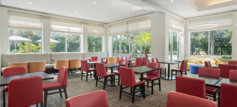 坦帕北希尔顿花园酒店(Hilton Garden Inn Tampa North)图片