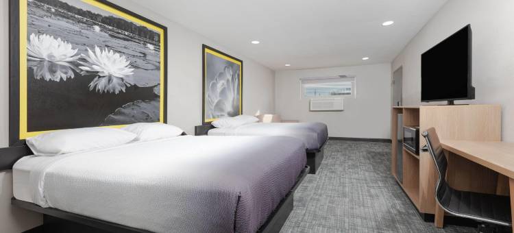 Super 8 BY 温德姆拉伯克机场(Super 8 by Wyndham Lubbock Airport)图片