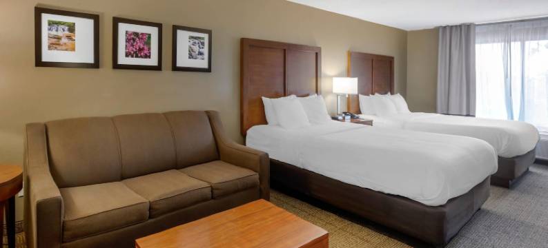 桃树角落舒适套房酒店(Comfort Inn & Suites Peachtree Corners)图片