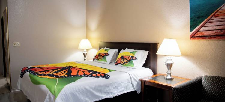 高级套房旅馆(Premium Inn and Suites)图片