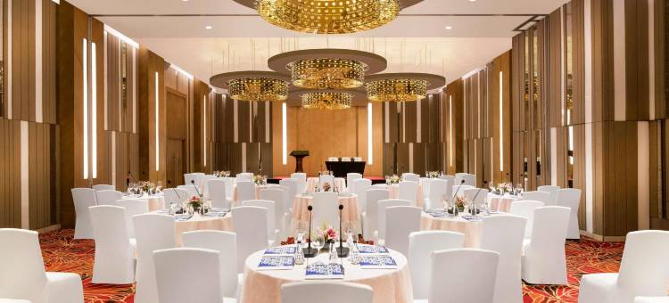 古瓦哈蒂GS路诺富特酒店(Novotel Guwahati GS Road)图片
