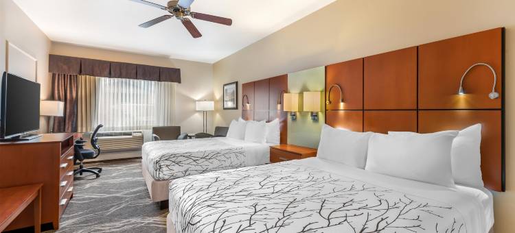 银色马鞍贝斯特韦斯特优质酒店(Best Western Plus Silver Saddle Inn)图片