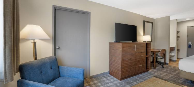 阿尔伯克基绿树旅馆(Best Western North I-25 Hotel)图片