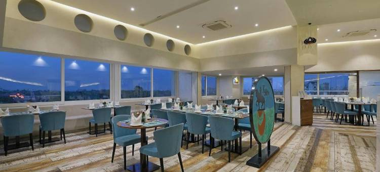 瓦多达拉艾佛酒店-萨亚吉(Effotel by Sayaji Vadodara)图片