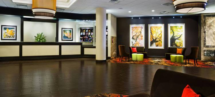 斯普林菲尔德喜来登帝王广场酒店(Sheraton Springfield Monarch Place Hotel)图片