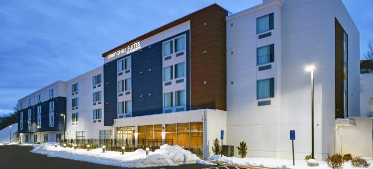 哈特福德克伦威尔SpringHill Suites酒店(SpringHill Suites Hartford Cromwell)图片