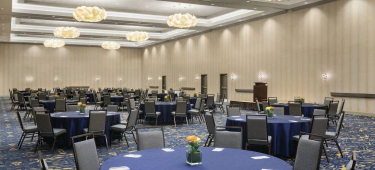 迈克艾伦会议中心希尔顿安泊酒店(Embassy Suites by Hilton McAllen Convention Center)图片