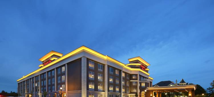 希尔顿欢朋酒店-荷兰(Hampton Inn Holland)图片