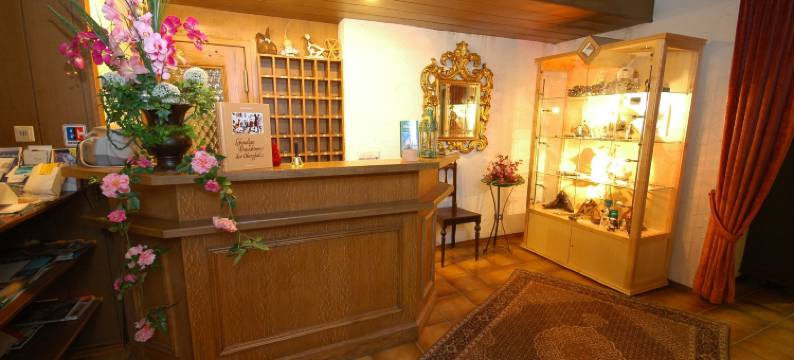 沃泽酒店(Hotel Wurzer)图片