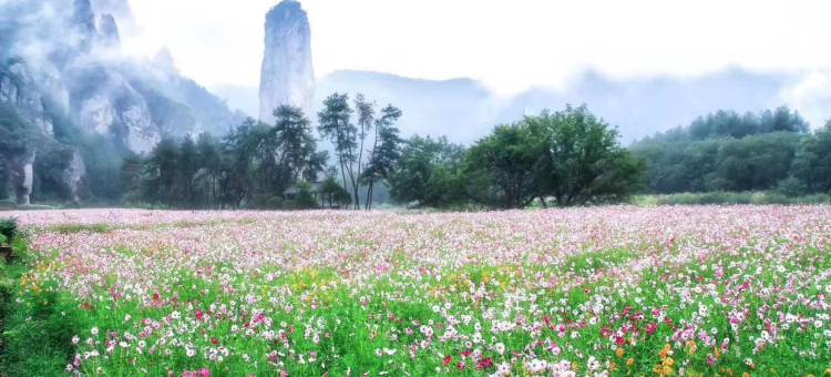 花筑·仙都醉墨轩民宿图片