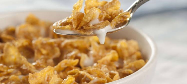 马格努森红男爵酒店(Magnuson Hotel Red Baron)图片