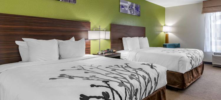 不伦瑞克舒眠酒店(Sleep Inn & Suites)图片