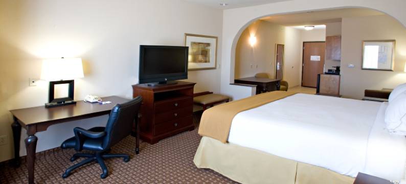 智选假日套房酒店金斯维尔(Holiday Inn Express & Suites KINGSVILLE by IHG)图片