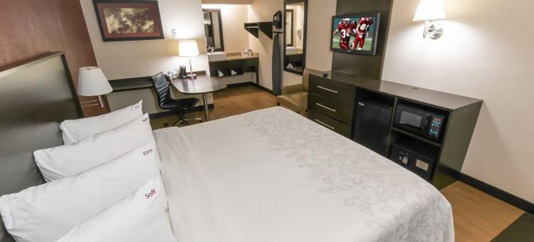 红顶PLUS酒店-哥伦布都柏林(Red Roof Plus+ Columbus - Dublin)图片