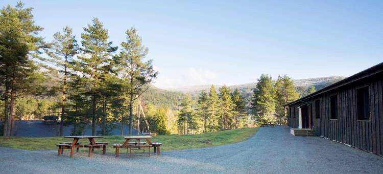 铂尼公园索恩酒店(Thon Hotel Bjørneparken)图片