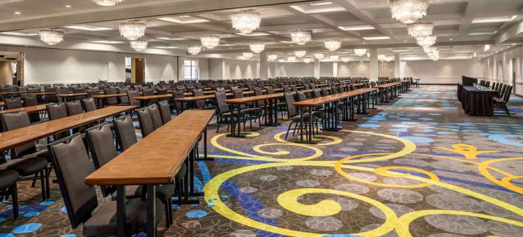 斯普林菲尔德市中心温德姆酒店(Wyndham Springfield City Centre)图片