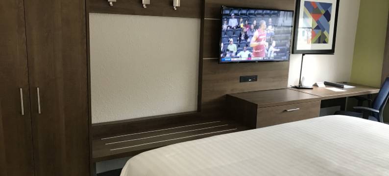 洲际智选假日酒店那不勒斯南部 - I-75(Holiday Inn Express NAPLES SOUTH - I-75 by IHG)图片