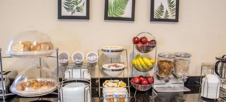 达文波特舒眠酒店及套房(Sleep Inn & Suites Davenport - Quad Cities)图片