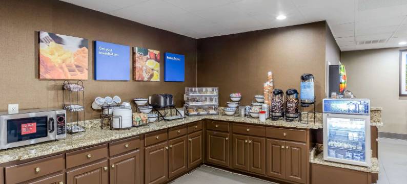 舒适套房酒店(Comfort Inn & Suites)图片