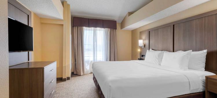 达拉斯沃思堡国际机场舒适套房酒店(Comfort Suites DFW Airport)图片