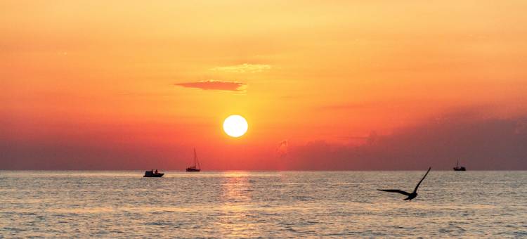Les Jardins de Santa Giulia - Charmante Chambre d'hôte 2图片