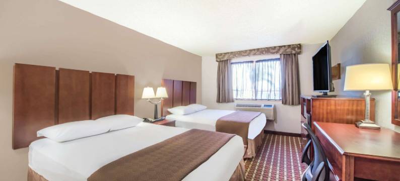 哈灵根速8酒店(Super 8 by Wyndham Harlingen TX)图片