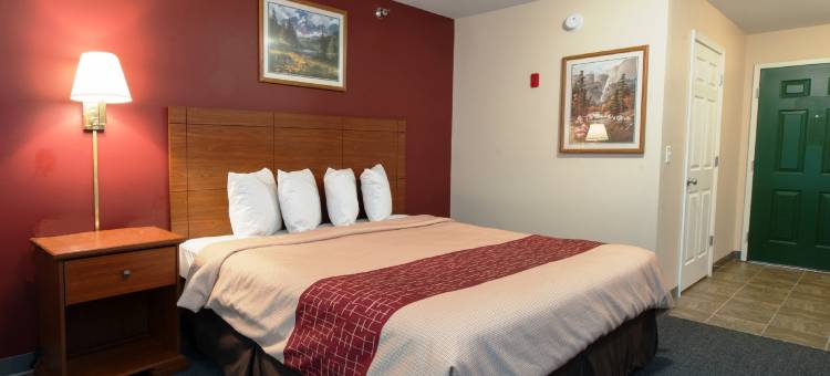 迪金森红顶套房酒店(Red Roof Inn & Suites Dickinson)图片