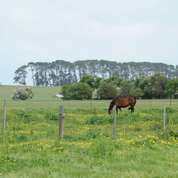 谷仓住宿(The Barn Accommodation)图片
