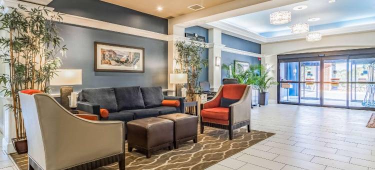 查塔努加西舒适套房酒店 - 瞭望山(Comfort Inn & Suites Chattanooga West - Lookout Mountain)图片