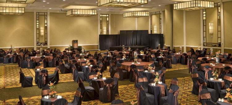 加特林堡远景公园逸林酒店(The Park Vista - a DoubleTree by Hilton Hotel - Gatlinburg)图片