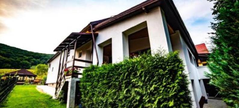 波亚纳基督教旅馆(Poiana Cristian)图片